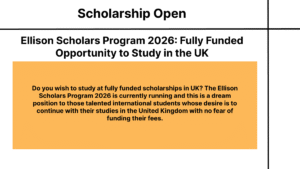 Ellison Scholars Program 2026