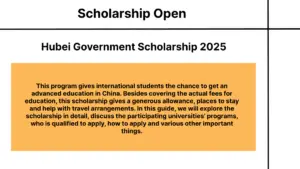 Hubei Government Scholarship 2025